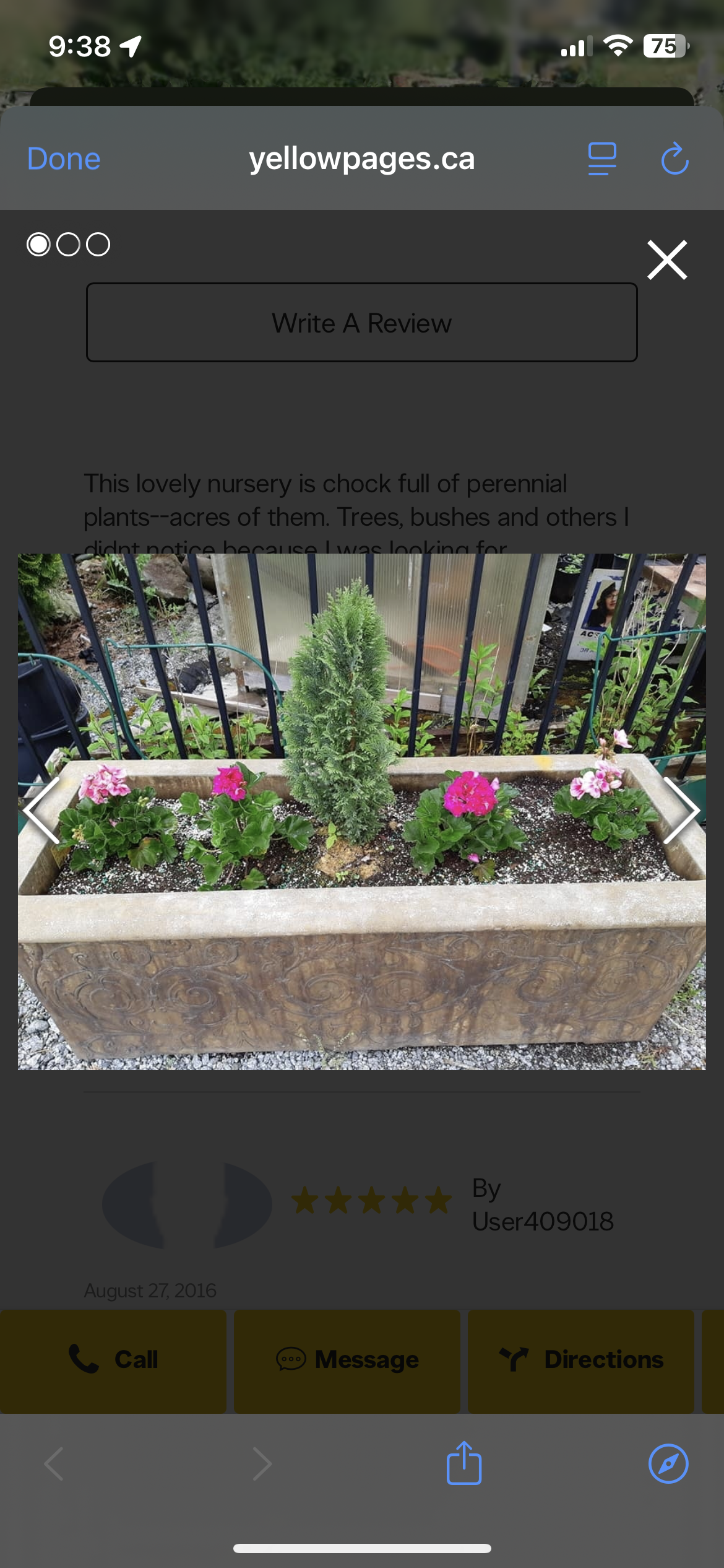 Beautiful planter box with pink geraniums and a young evergreen tree